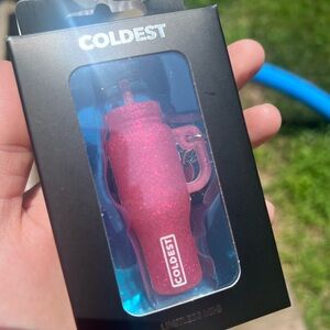 COLDEST Mystery Mini (REVEALED)